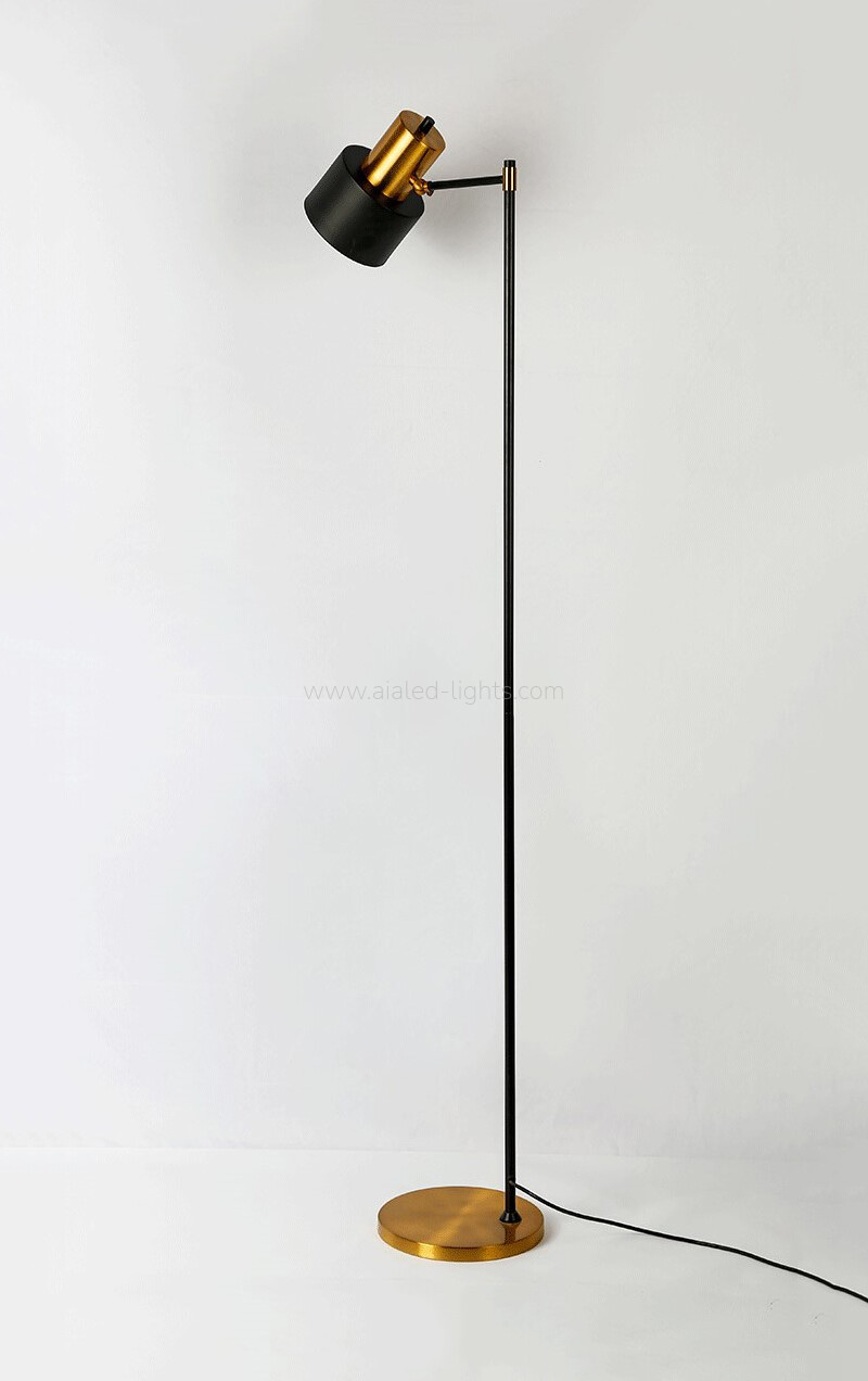 Rotatable Head Floor Lamp Minimalist Budget Standing Lamp with E27 Socket